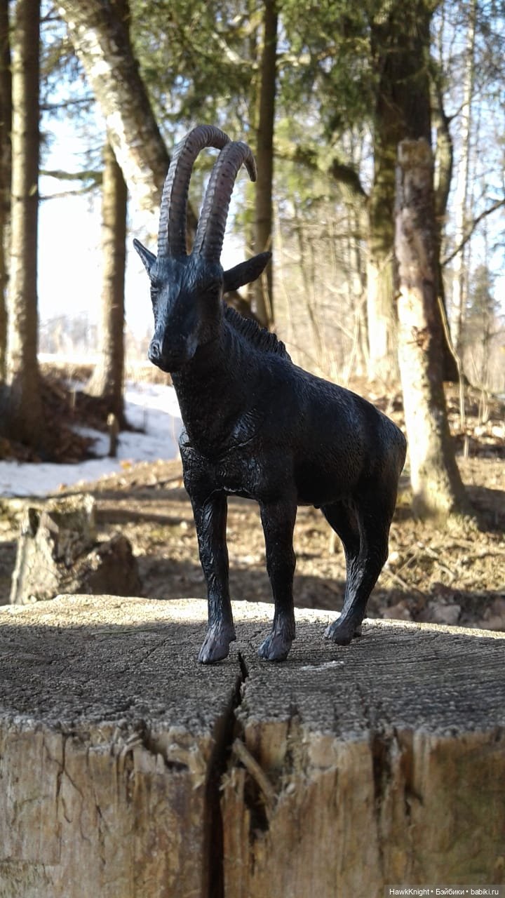 Архив ненужных снов. Самый несчастливый цвет, часть 2