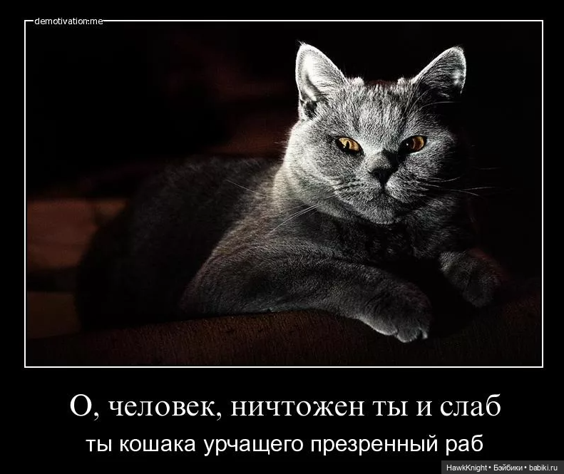 Рукодельный челлендж, или полная деконструкция (фото 10)