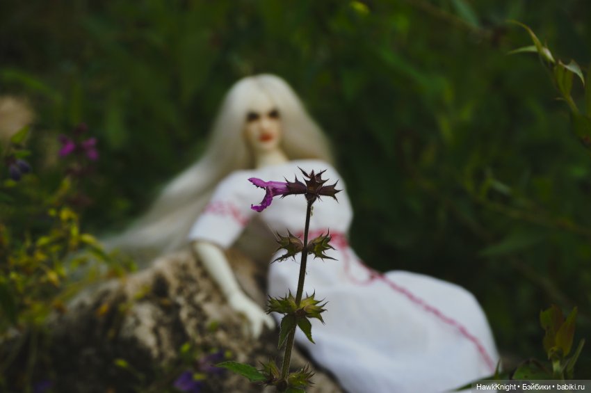 Как я в отпуск с полудницей ездила, часть 2-я, камнелазательная (фото 4)