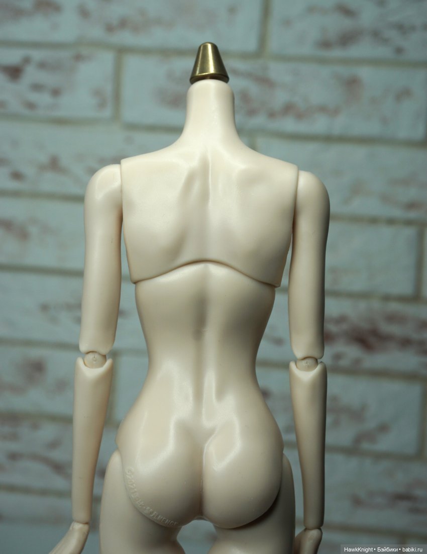 Время и жизнь обыкновенного гибридизатора 2. Хроники непостоянного человека (фото 4)