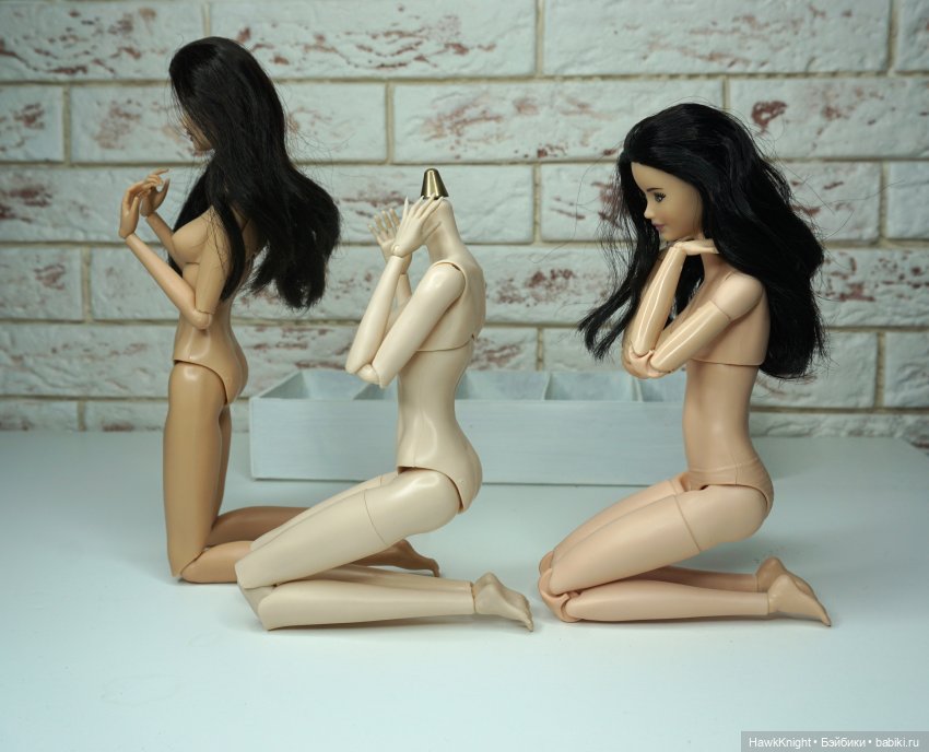 Время и жизнь обыкновенного гибридизатора 2. Хроники непостоянного человека