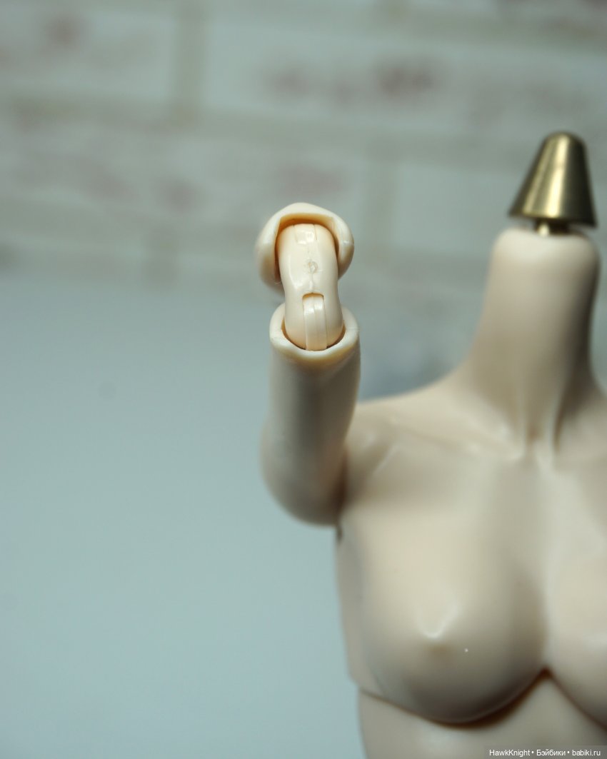 Время и жизнь обыкновенного гибридизатора 2. Хроники непостоянного человека (фото 7)