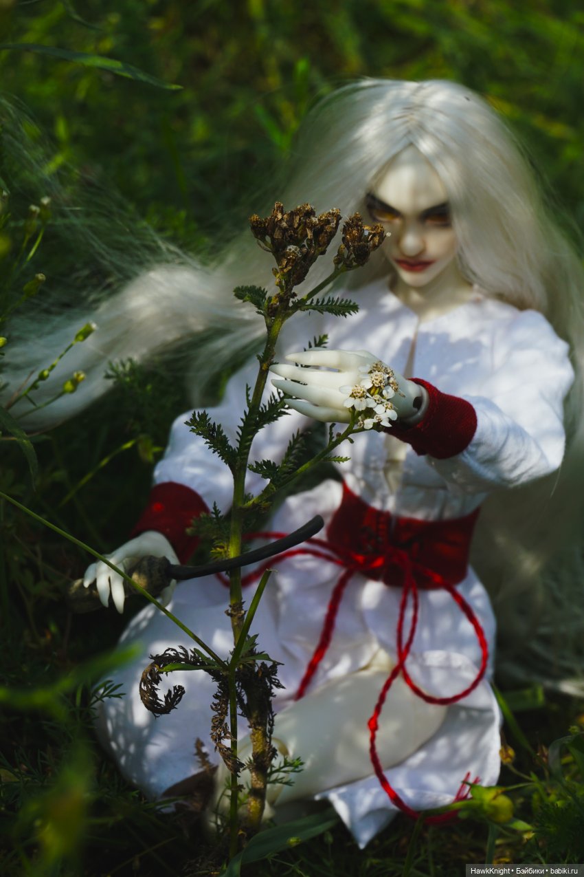 Во саду ли, в огороде нечисть разгулялась (фото 5)