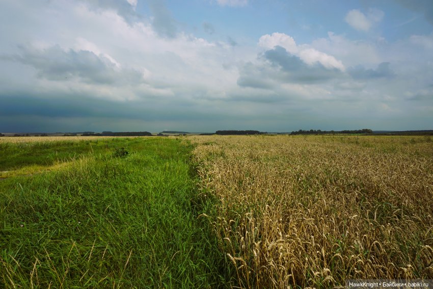 Коси коса | Бэйбики Коси коса — Разные куклы BJD (БЖД): редкие бренды
