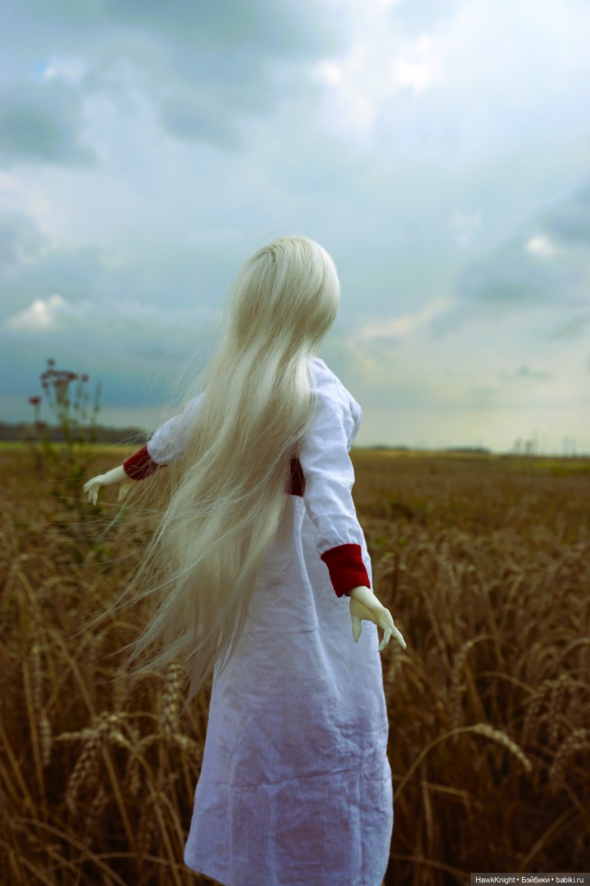 Коси коса | Бэйбики Коси коса — Разные куклы BJD (БЖД): редкие бренды (фото 10)