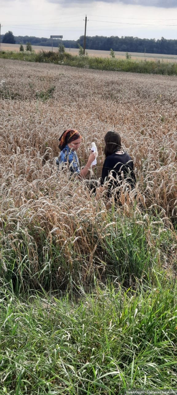 Коси коса | Бэйбики Коси коса — Разные куклы BJD (БЖД): редкие бренды