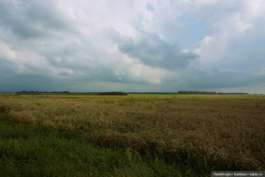 Коси коса | Бэйбики Коси коса — Разные куклы BJD (БЖД): редкие бренды