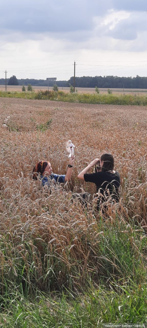 Коси коса | Бэйбики Коси коса — Разные куклы BJD (БЖД): редкие бренды