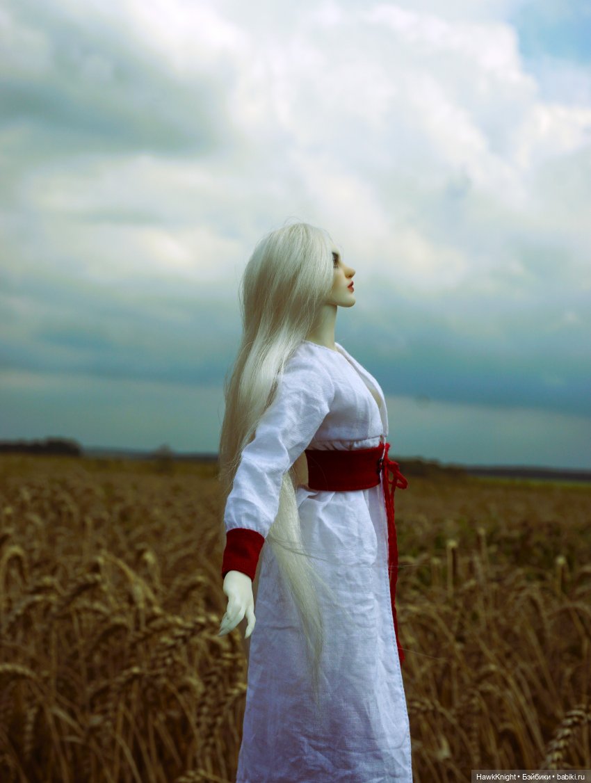 Коси коса | Бэйбики Коси коса — Разные куклы BJD (БЖД): редкие бренды (фото 9)