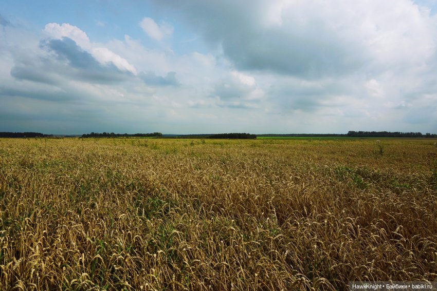 Коси коса | Бэйбики Коси коса — Разные куклы BJD (БЖД): редкие бренды (фото 2)