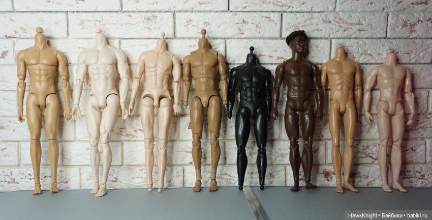 Время и жизнь обыкновенного гибридизатора 3. Мужское население