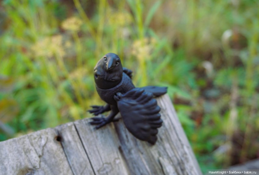 Ворон — 3D (фото 10)