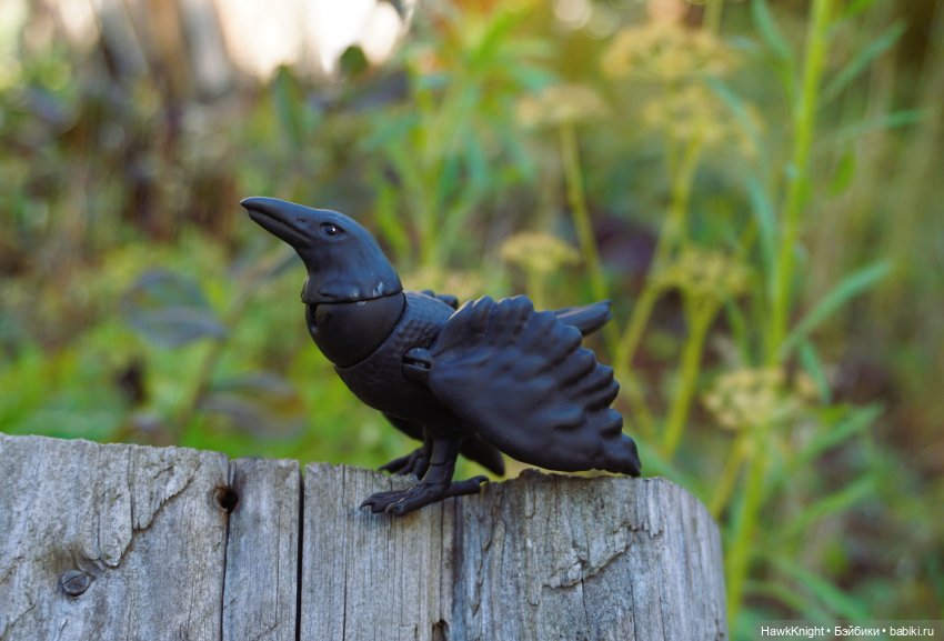 Ворон — 3D (фото 9)