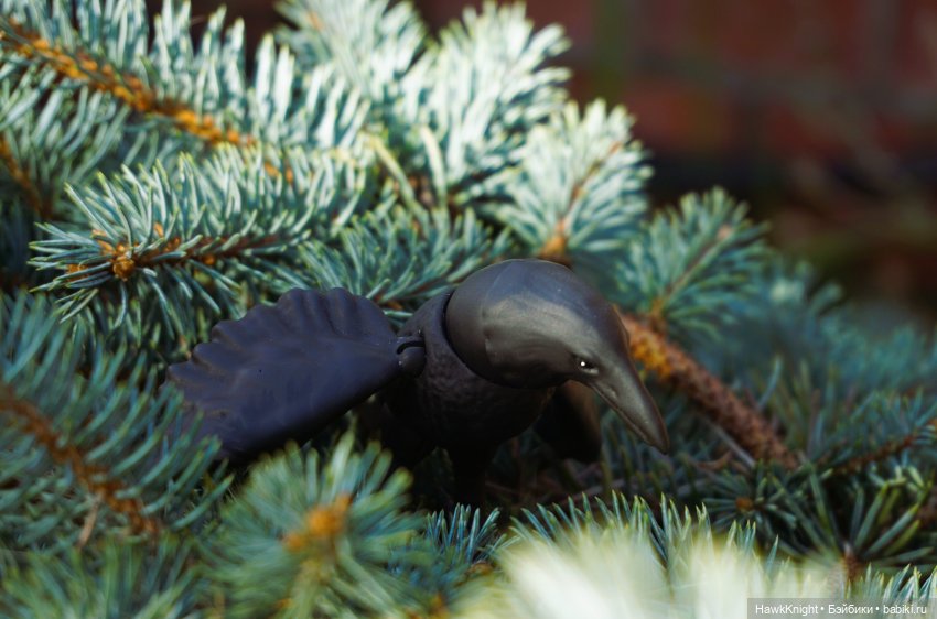 Ворон — 3D (фото 3)