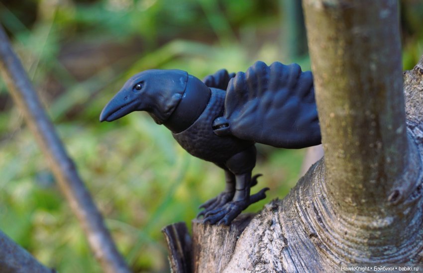 Ворон — 3D (фото 5)