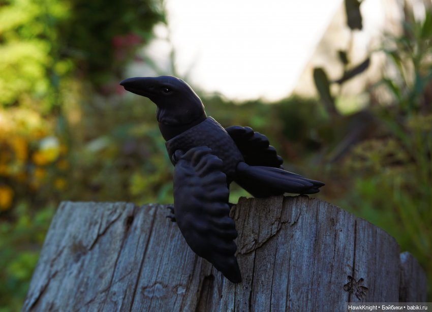 Ворон — 3D (фото 4)