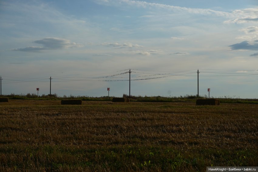 Записки авантюристок. "Этим летом я обязательно..." Часть 2