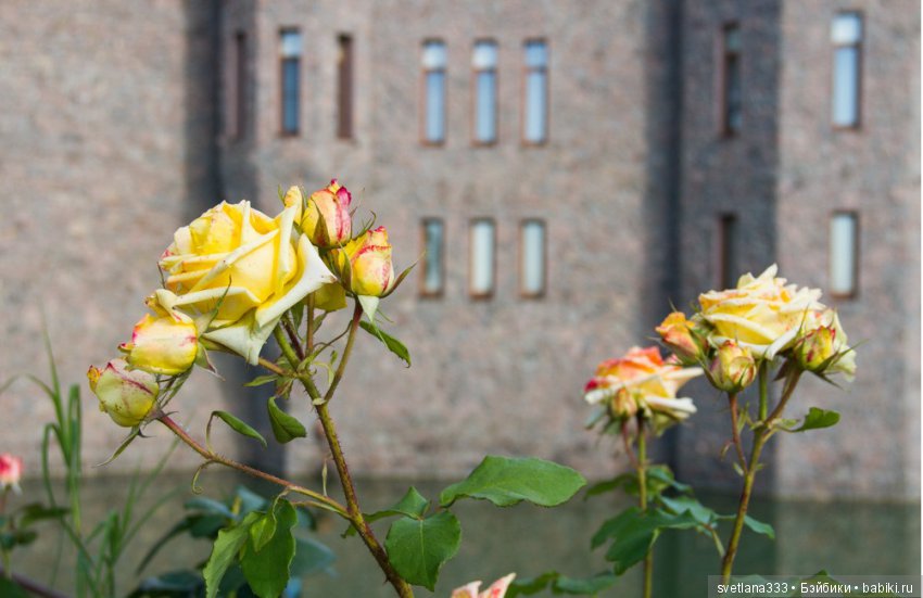 Lisa's life story - Замок Шато Эркен в Кабардино-Балкарии