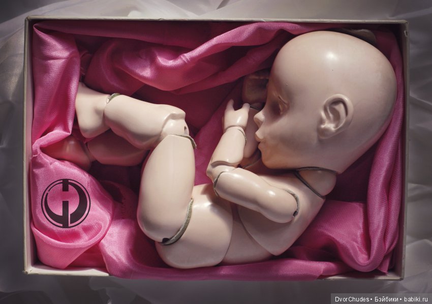 новорожденный