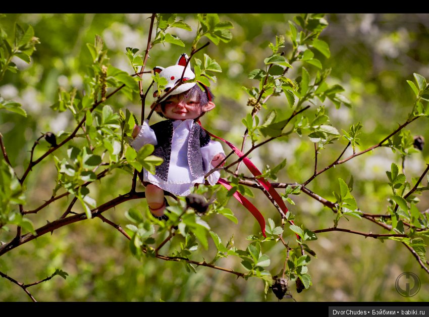 Великий исход Кису-ня за корбкой