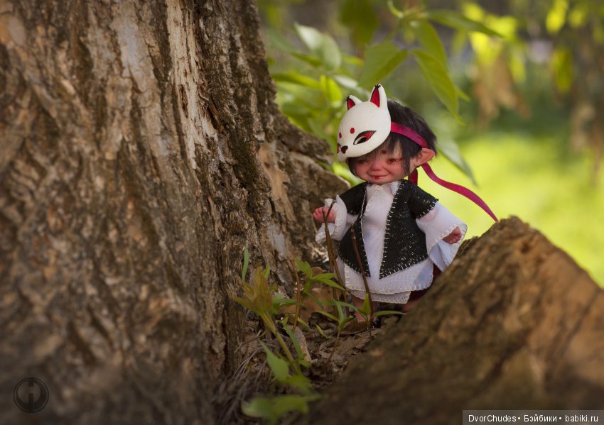 Великий исход Кису-ня за корбкой