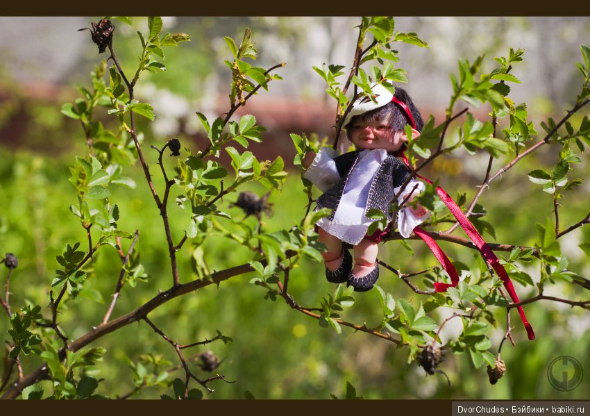 Великий исход Кису-ня за корбкой