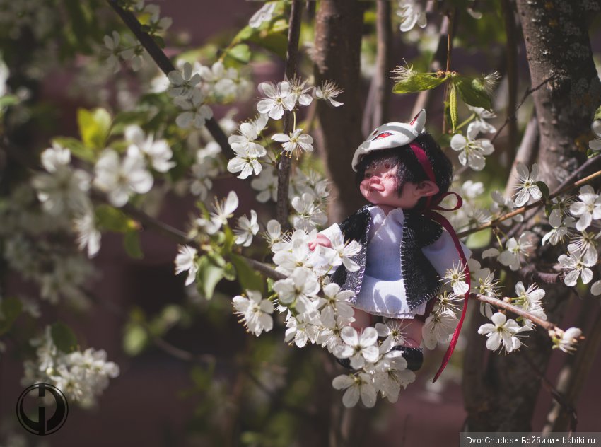 Великий исход Кису-ня за корбкой (фото 4)