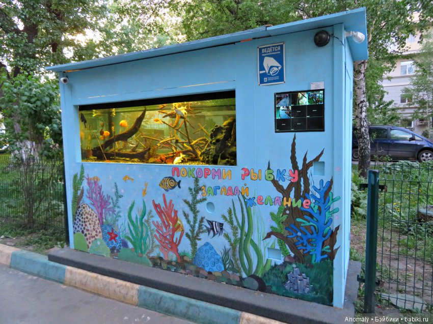 Знакомство с форматом дюймовочки