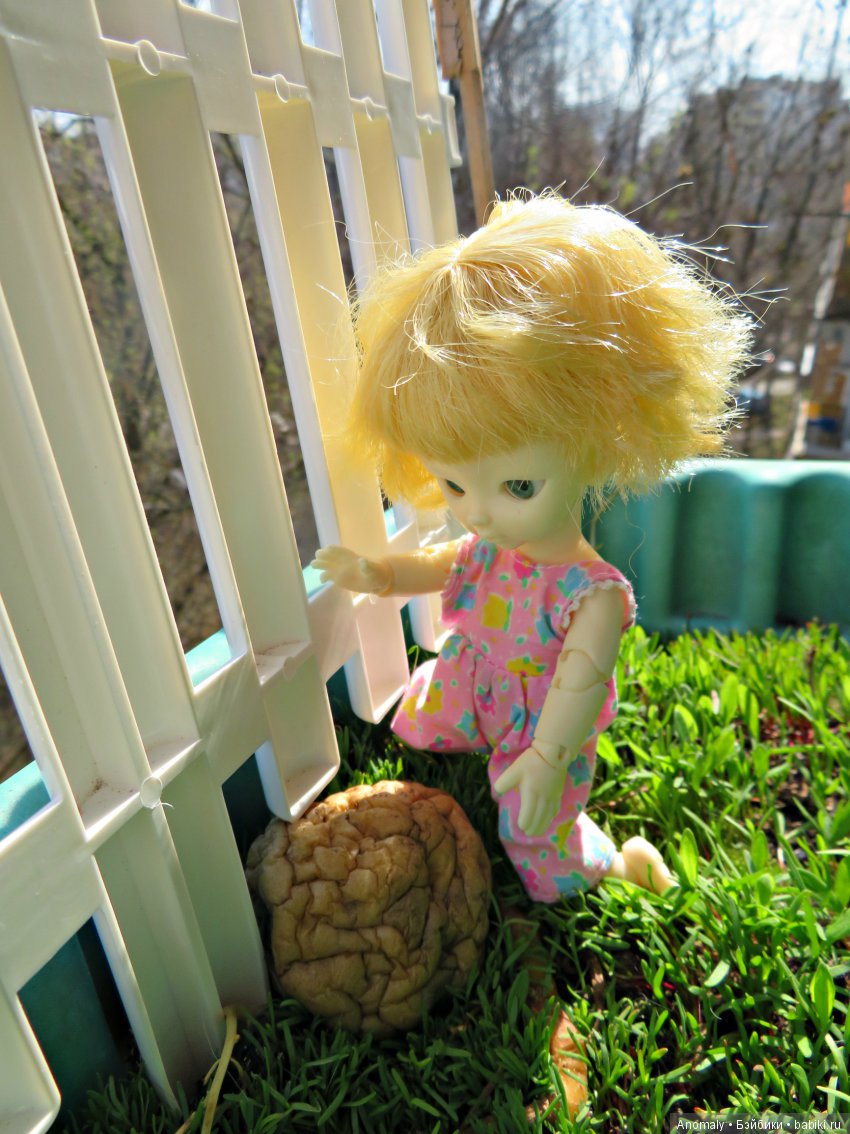 Знакомство с форматом дюймовочки (фото 2)