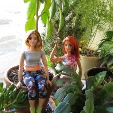 А мы и дома погуляем среди зелени