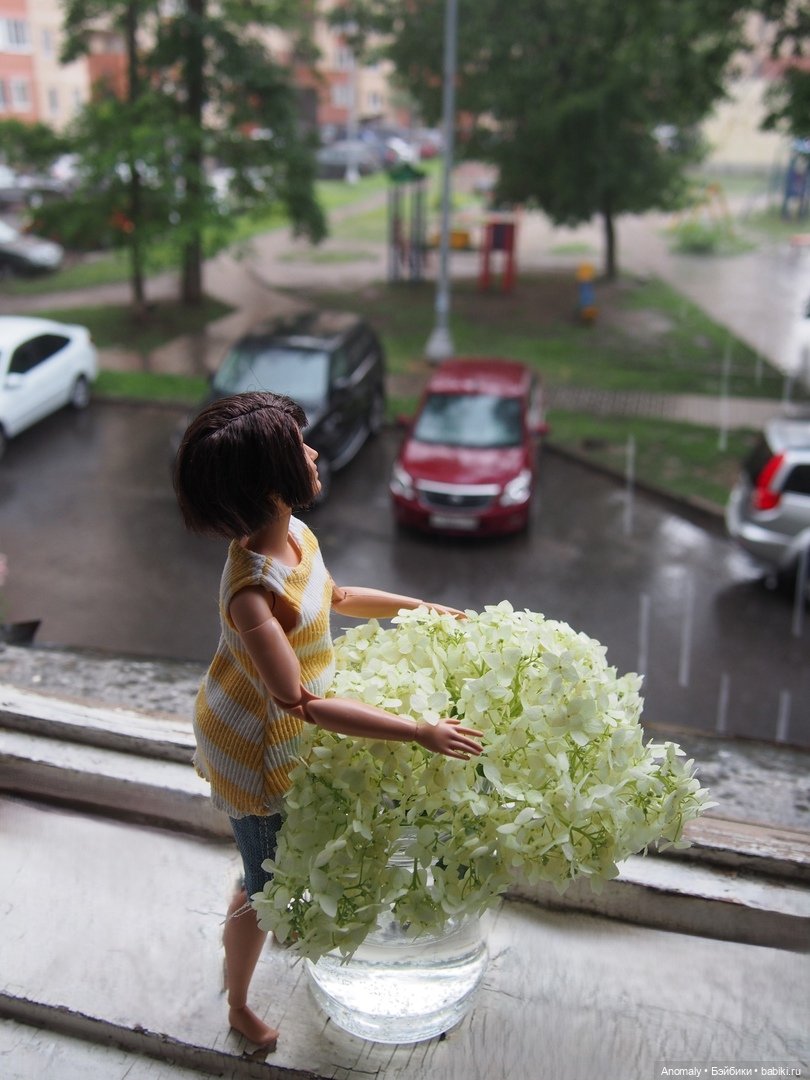 Околокукольные итоги 2024