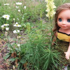 Снова эта Асенька