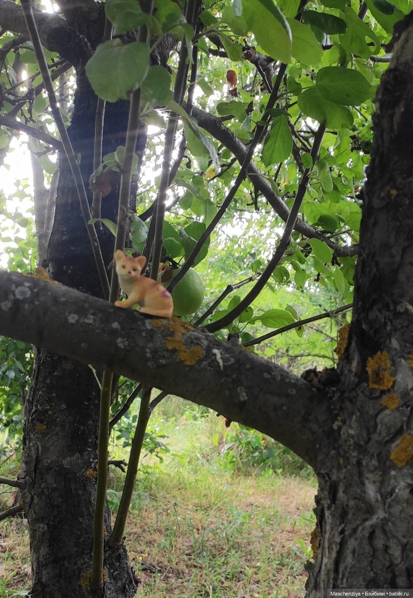 Августфест 2021.Покахонтас. Цвета Ветра (фото 7)