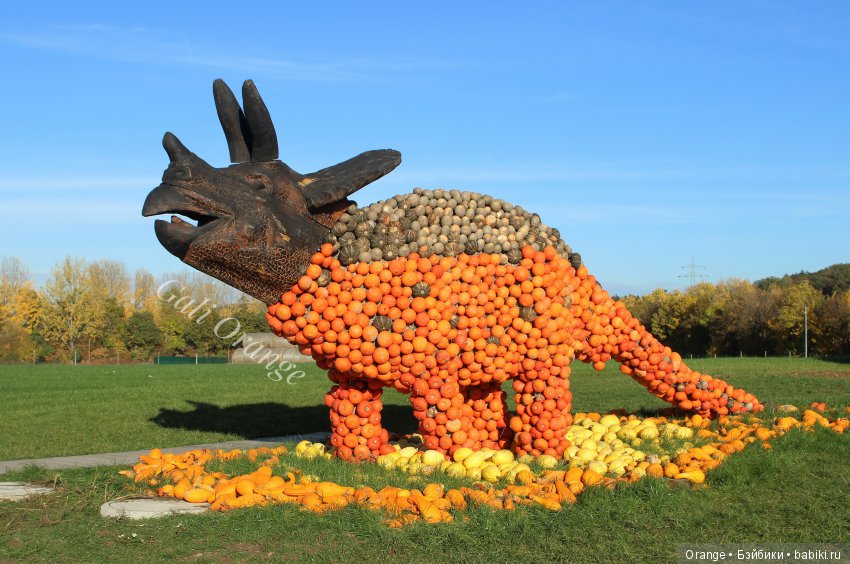 Фестиваль тыквы. "Окрыленные" (фото 3)