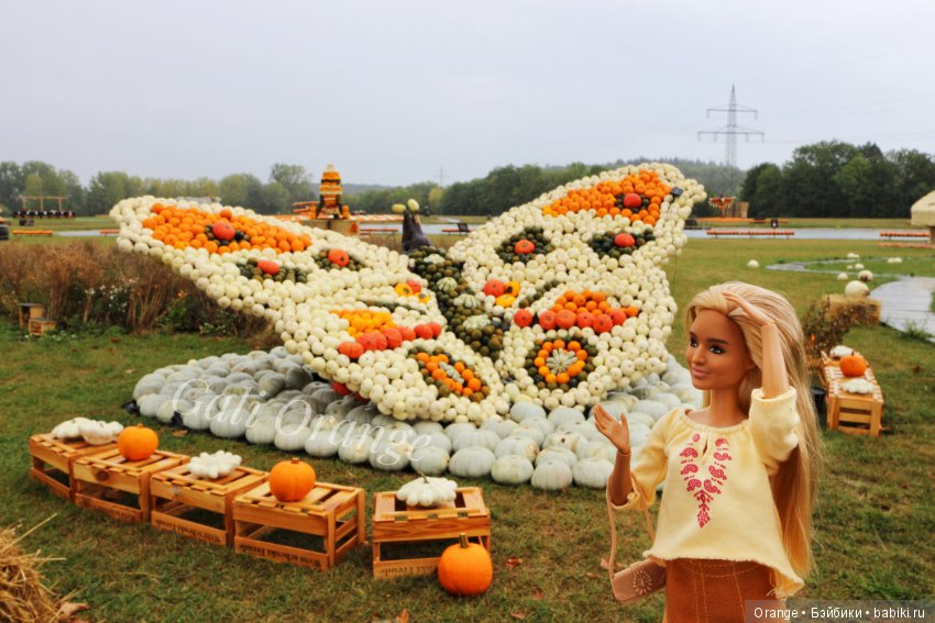 Фестиваль тыквы. "Окрыленные" (фото 7)