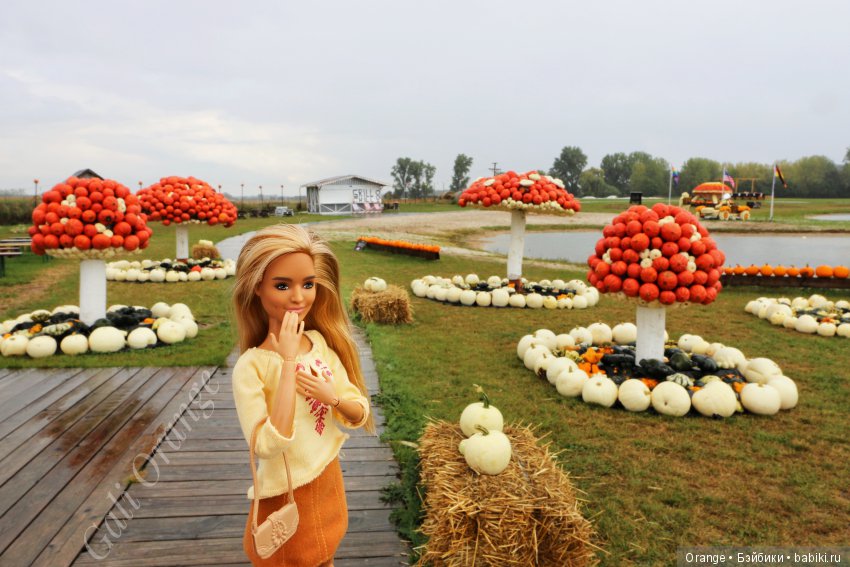 Фестиваль тыквы. "Окрыленные" (фото 10)