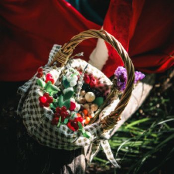 По грибы и ягоды