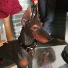 Покупки на Али. Ч. 2