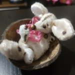 Фенек с божьей коровкой