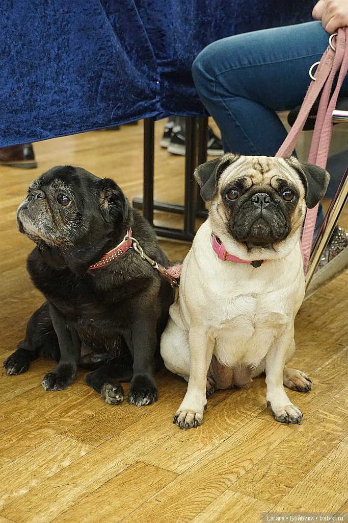 Кукольная конвенция в Гамбурге, посвященная 60-летию Barbie