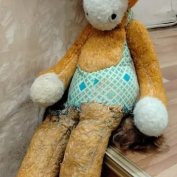 Прошу помощи в опознании ослика