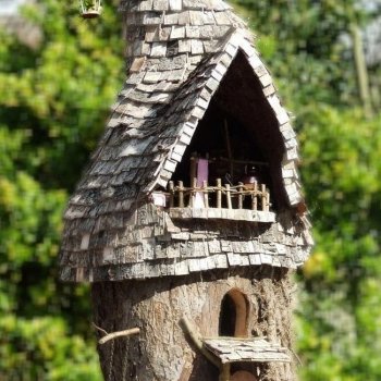 Вторая жизнь старого пня