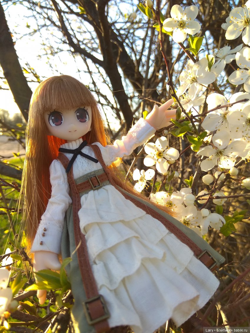 Azone Neili