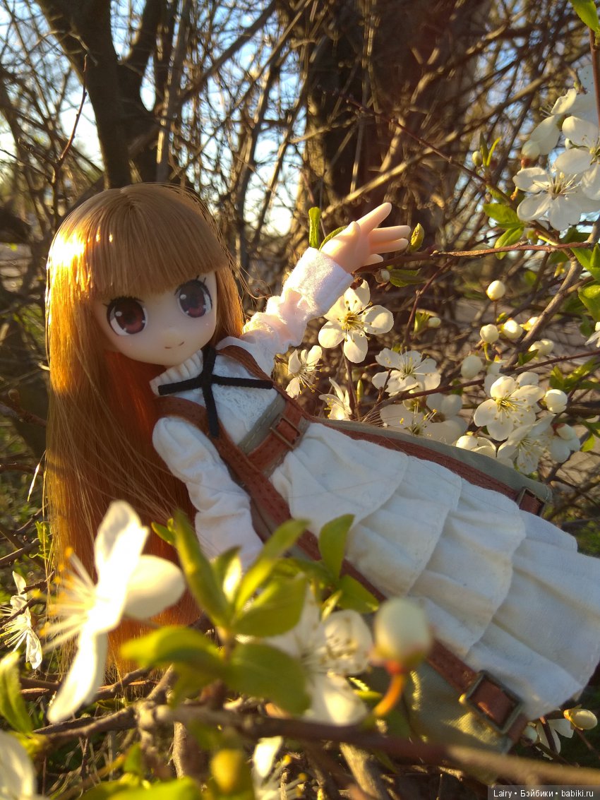 Azone Neili