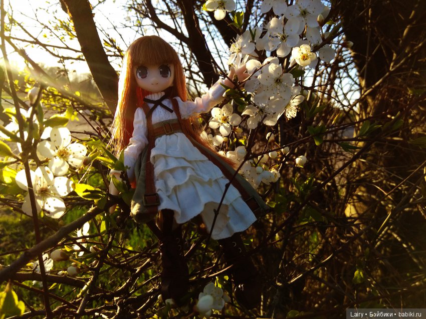 Azone Neili