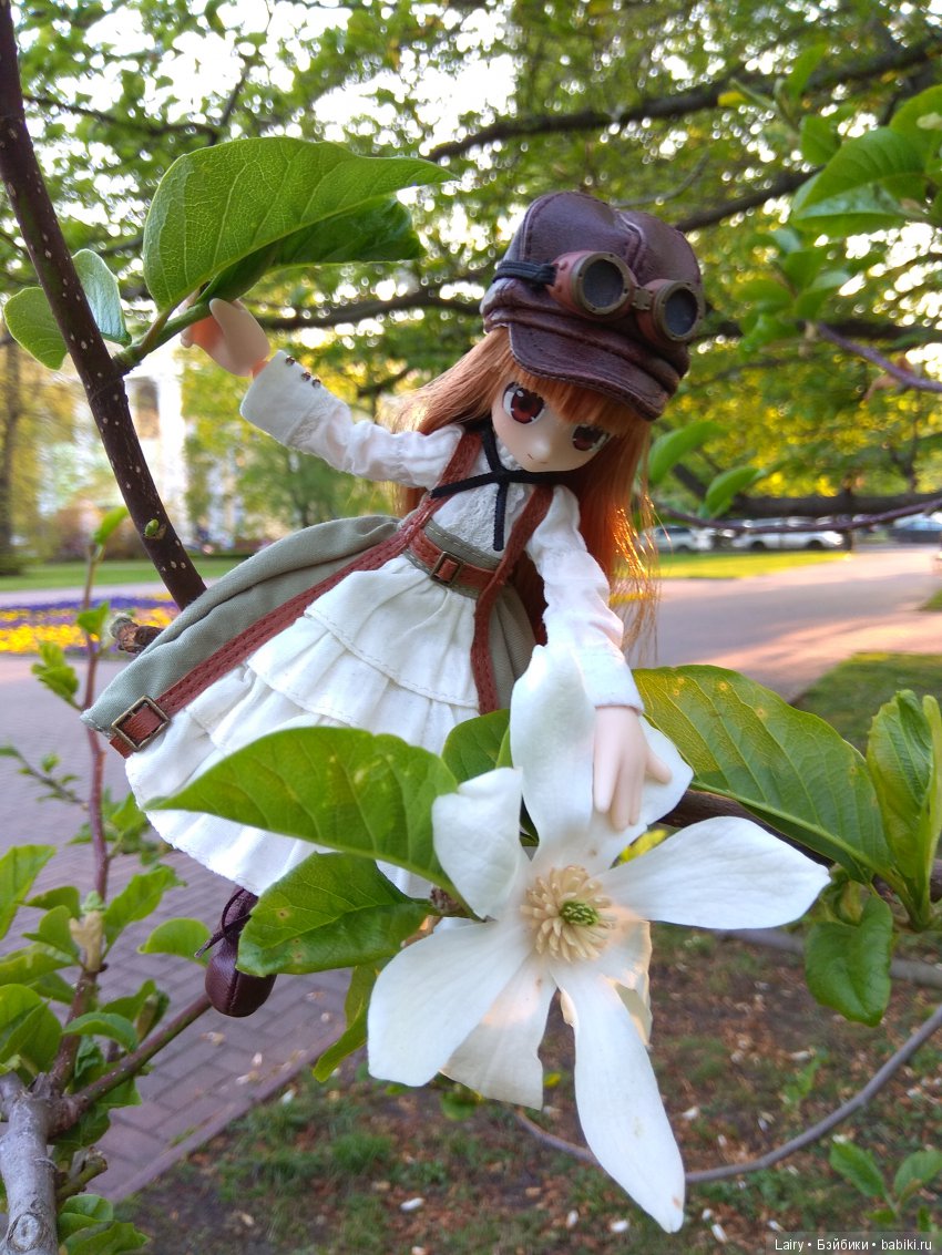 Azone Lil'Fairy Neili