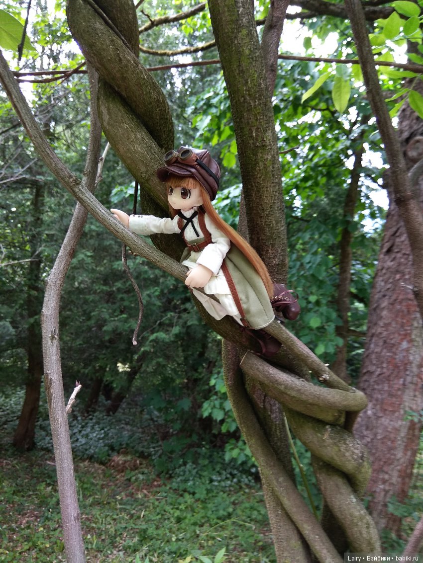 Сэн и Нейли в лесу — Аниме куклы (MJD/Винил): Imomo