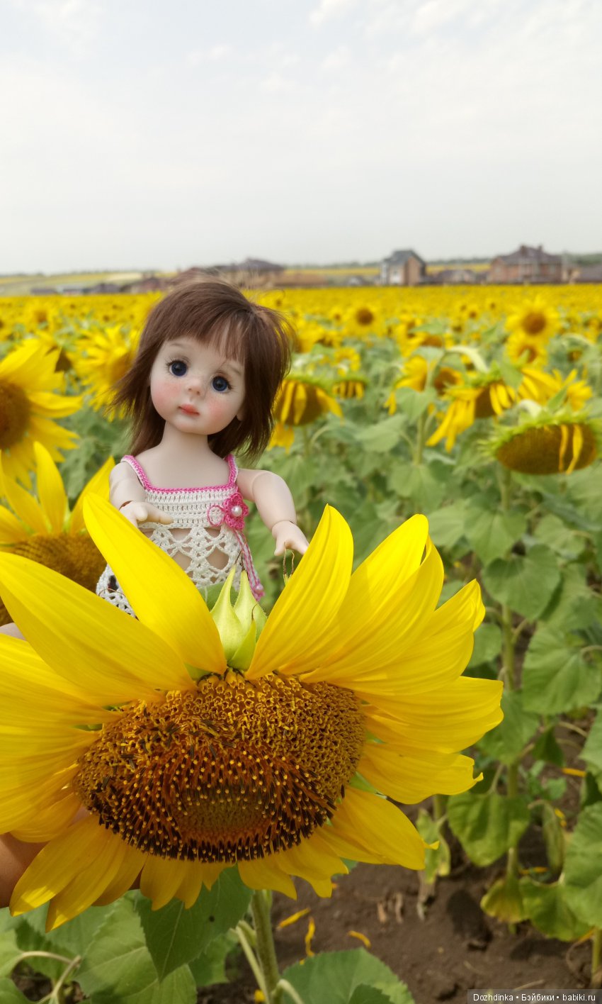 Два путешественника ехали к неведомому берегу