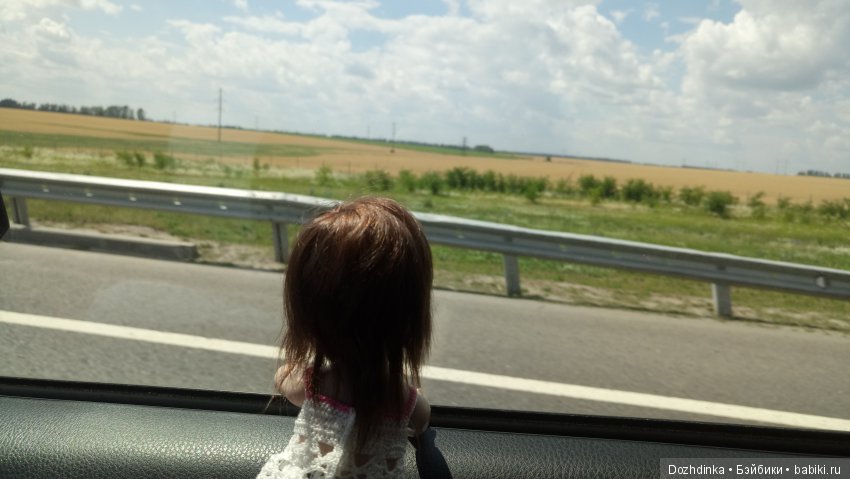 Два путешественника ехали к неведомому берегу (фото 5)