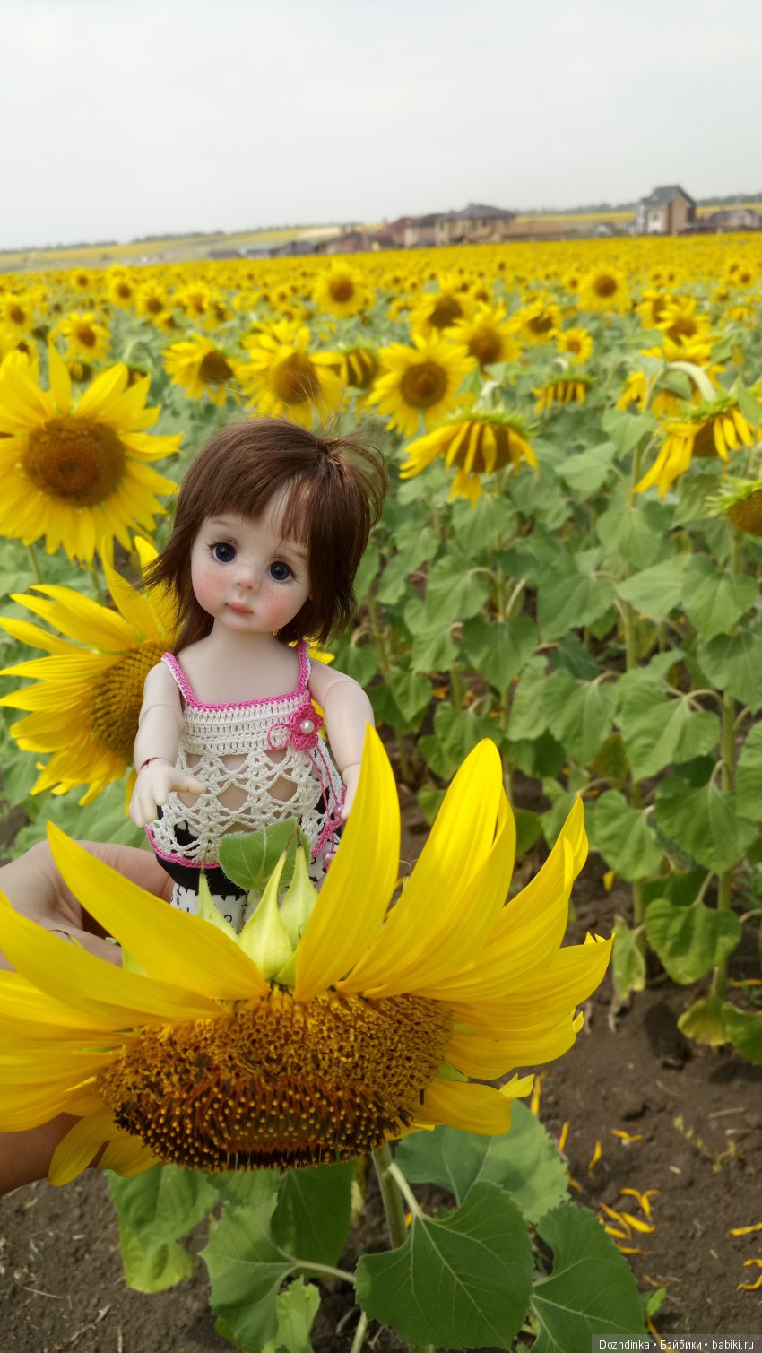 Два путешественника ехали к неведомому берегу